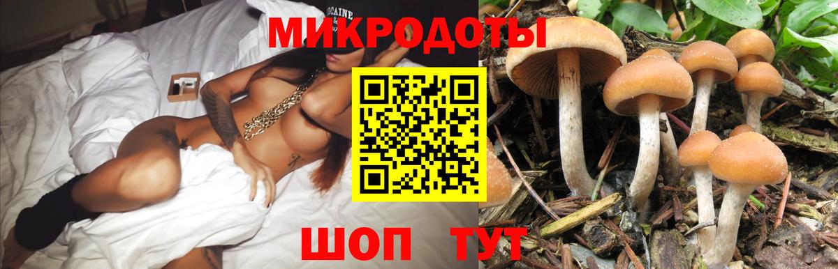 Псилоцибиновые грибы Cubensis  Вход с VPN  Хасавюрт 